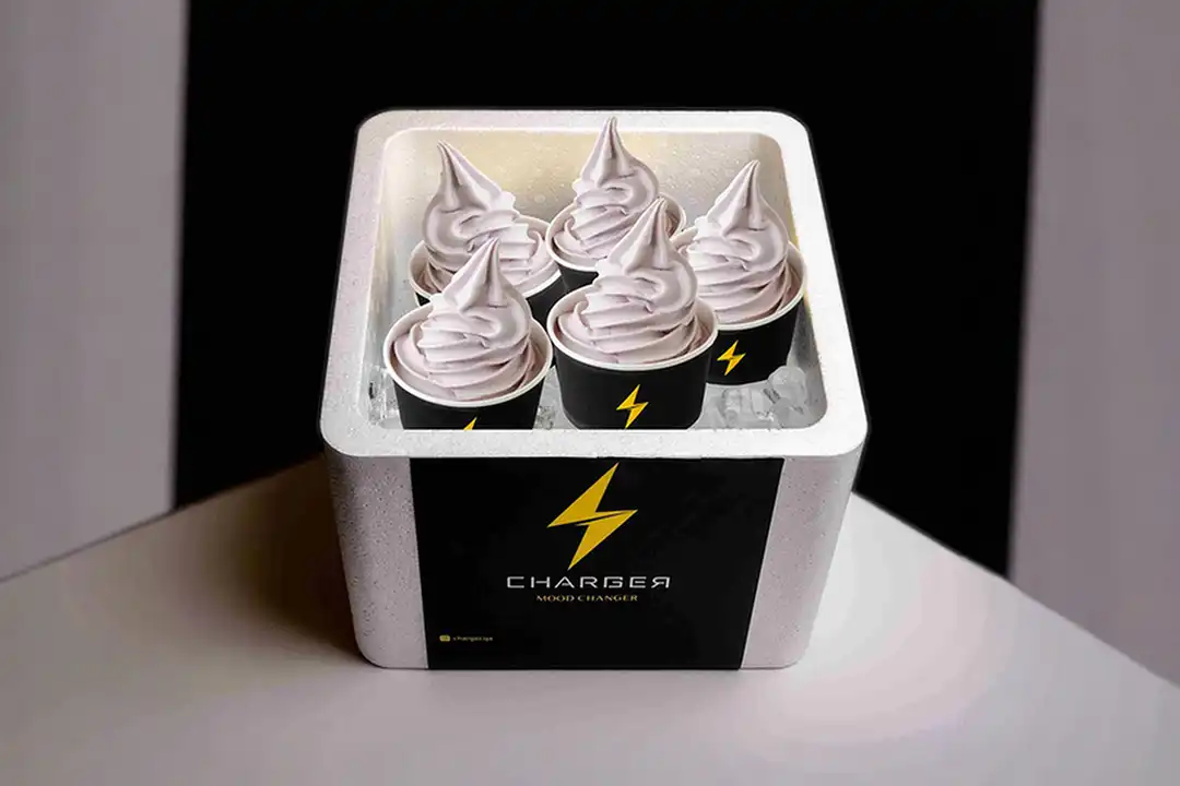 Berries Yoghurt Ice Cream Box